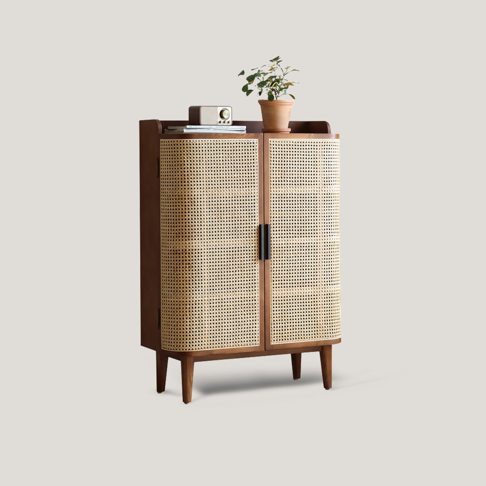 2 Door Rattan Shoe Cabinet Cupboard Storage Sideboard