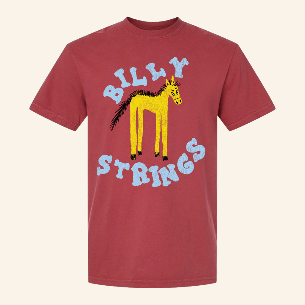 Billy Strings Merch Tall Horse T-Shirt Hailey Miller Beiden Shirt For Boyfriend 