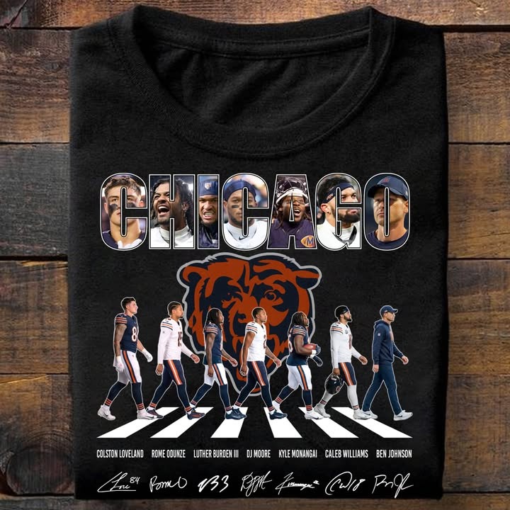 Chicago Bears Football Skyline Team T-Shirt Gift For Friends