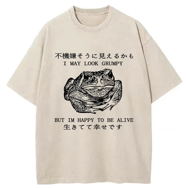 Emotionally Calm Frog Washed T-Shirt Retro Humor Graphic Top Gifts For Best Friend