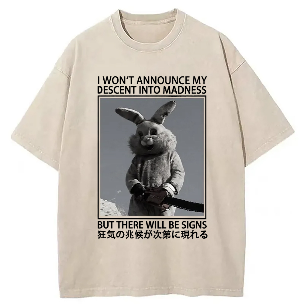 Rabbit Goes Into Madness Washed T-Shirt Unique Aesthetic Fashion Tee Gifts For Friends