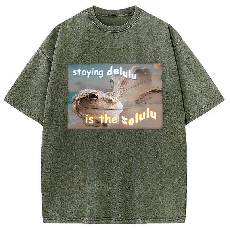 Staying Delulu Is The Solulu Frog Meme Washed T-Shirt Funny Graphic For Friends Gifts For Sister