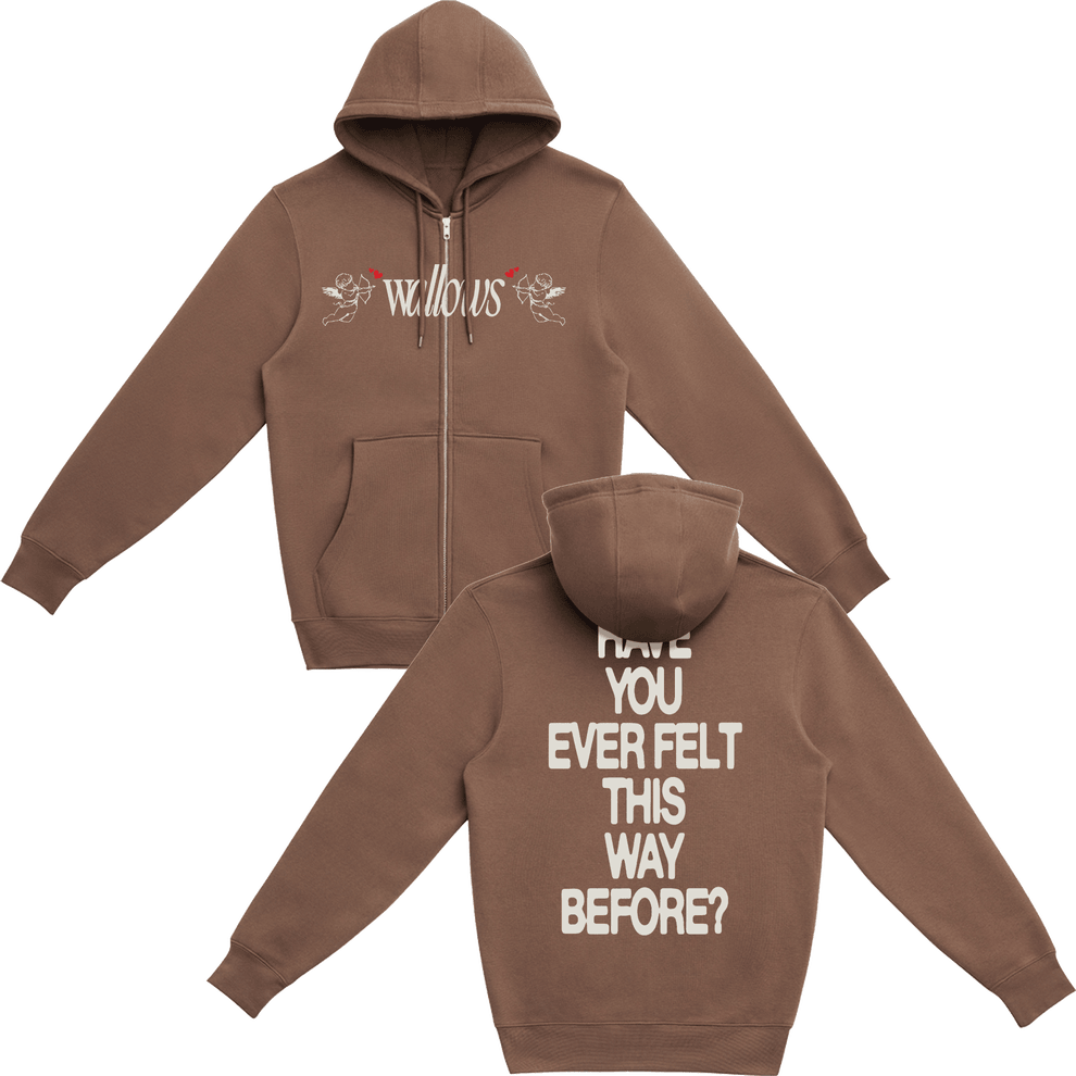 Wallows Tour Merch Angel Zip-Up Hoodie Have You Ever Felt This Way Before The Wallows Band